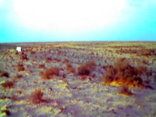 Blick �ber's Chott El Jerid