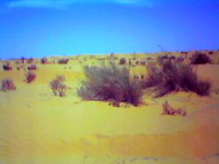 ein riesiger Sandkasten